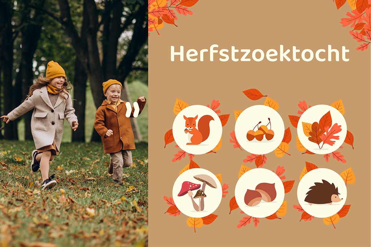 Herfstzoektocht