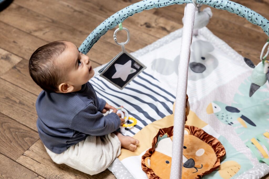 A play arch is an absolute must have for your babys essentials