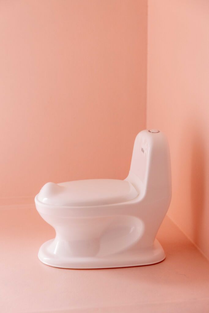 The Nûby potty My Real Potty features a realistic flushing sound