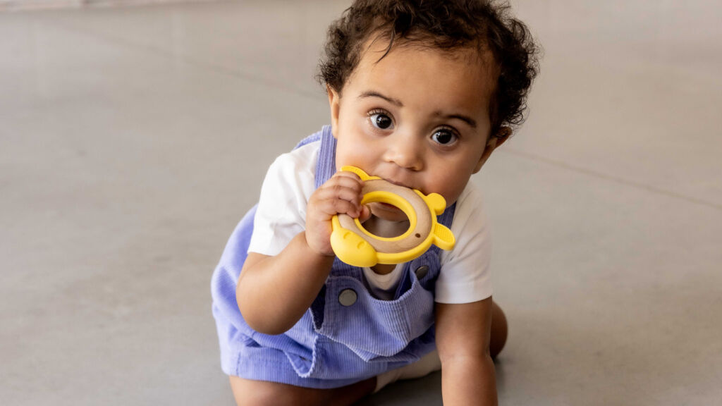 teethers are a must have for dental development